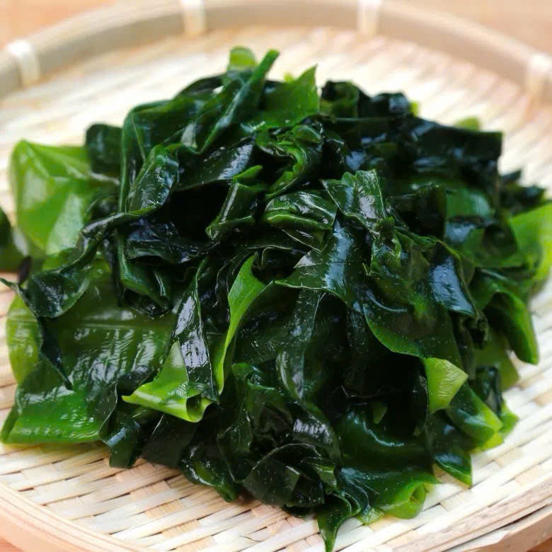 Khám Phá Thế Giới Rong Biển