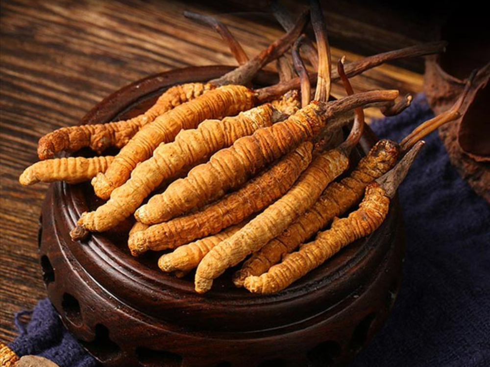 Các loại đông trùng hạ thảo