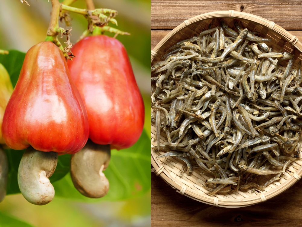 Điểm khác biệt so với các loại nước mắm mặn