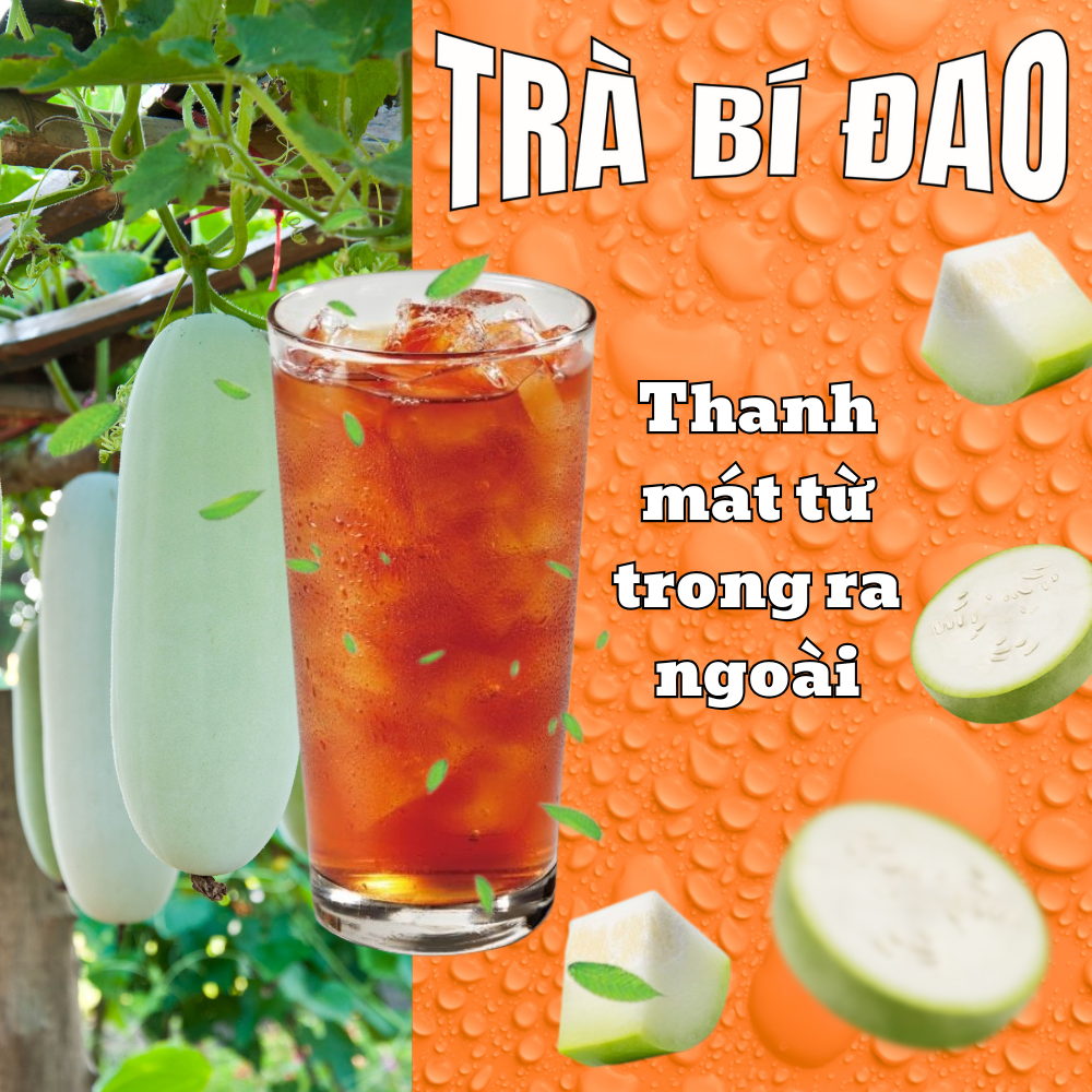 Tìm Hiểu Vì Sao Trà Bí Đao Lại Thanh Mát?
