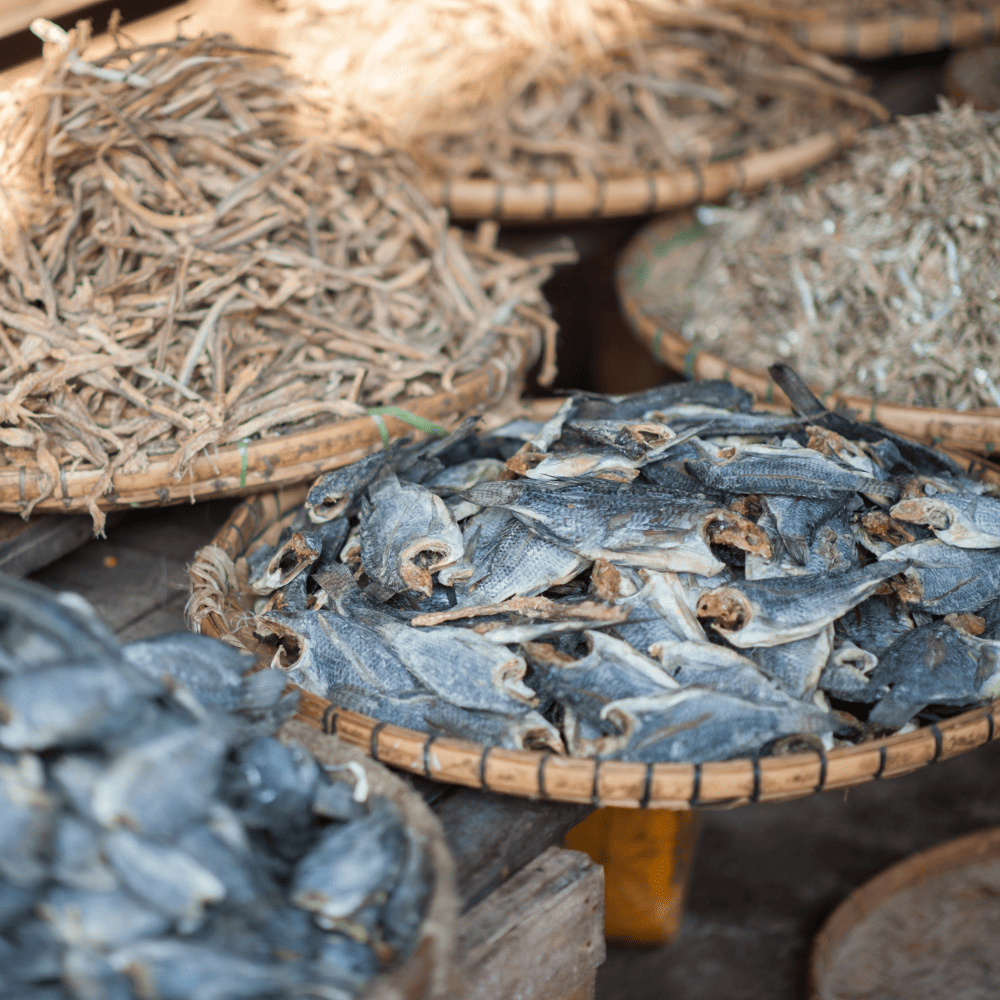 So Sánh Giữa Các Loại Cá Khô Vùng Miền: Khô Cá Lóc Miền Tây, Khô Cá Chỉ Vàng Miền Trung…