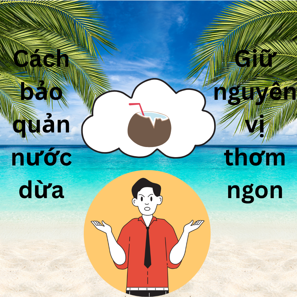 Cách Bảo Quản Nước Dừa Tươi Giữ Nguyên Vị Ngon