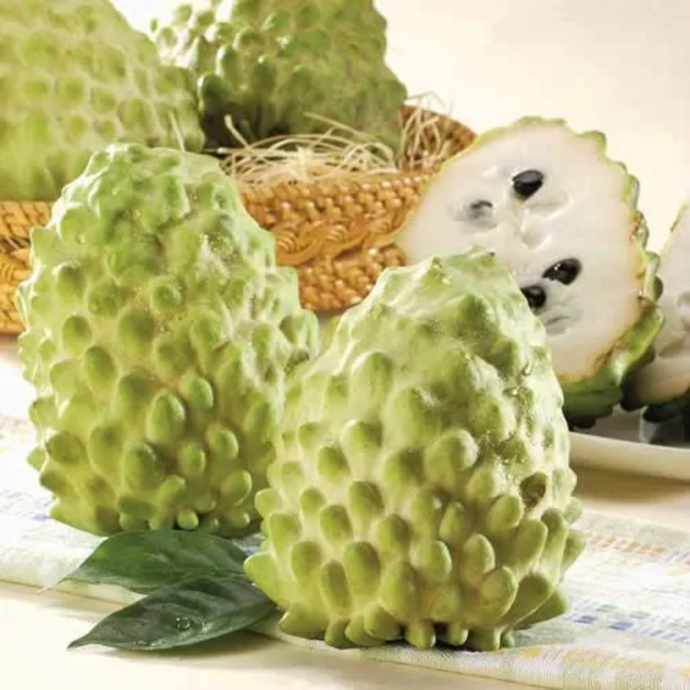 Tại Sao Nên Ăn Mãng Cầu Mỗi Ngày? Lợi Ích Sức Khỏe Mang Lại