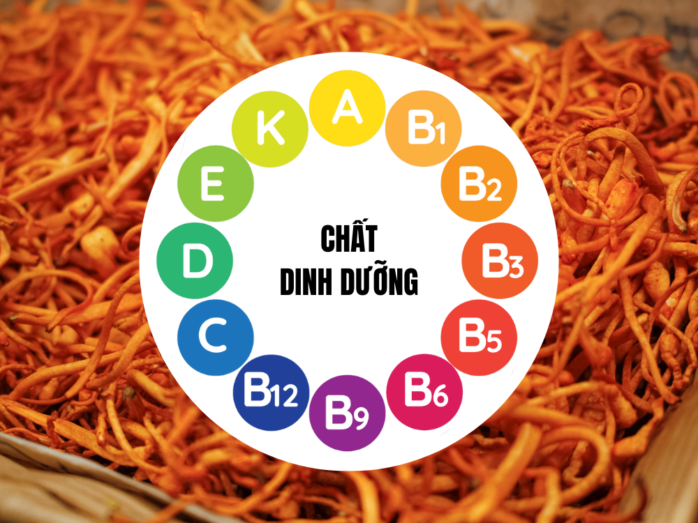 2. Về giá trị dinh dưỡng