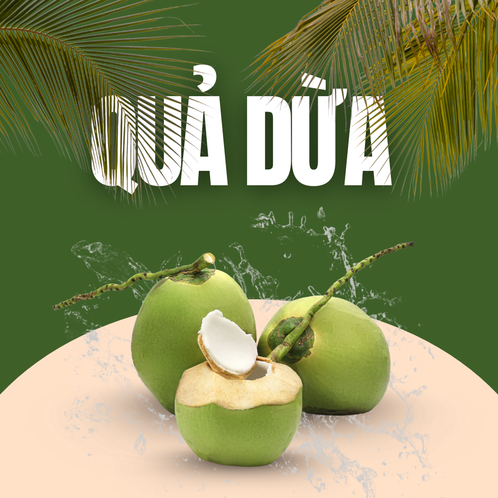 Những Điểm Tuyệt Vời Về Nước Dừa