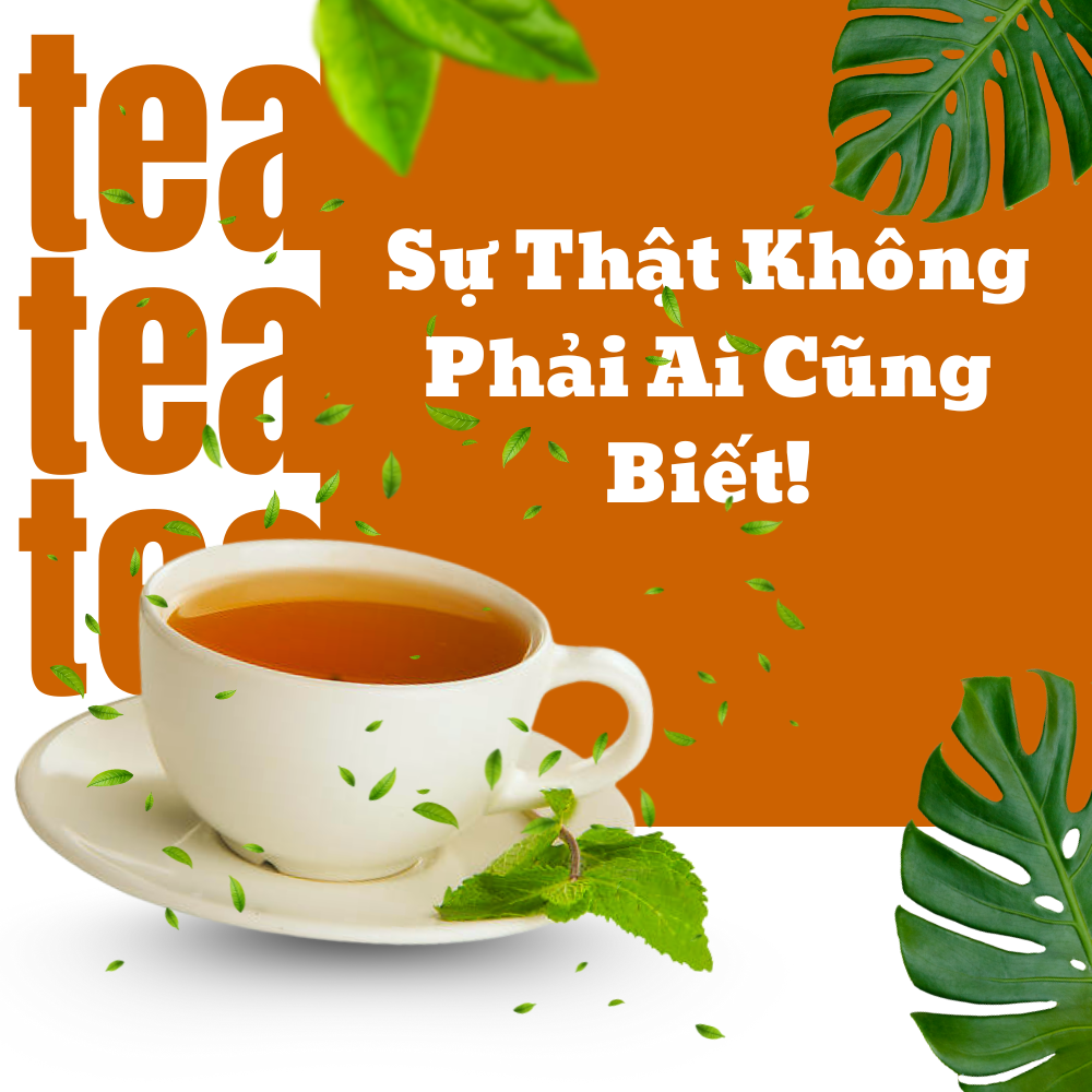 Uống Trà Nhiều Có Gây Mất Ngủ Không?