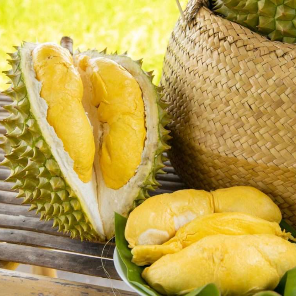 Sầu Riêng Có Nguồn Gốc Từ Đâu Và Phát Triển Như Thế Nào?