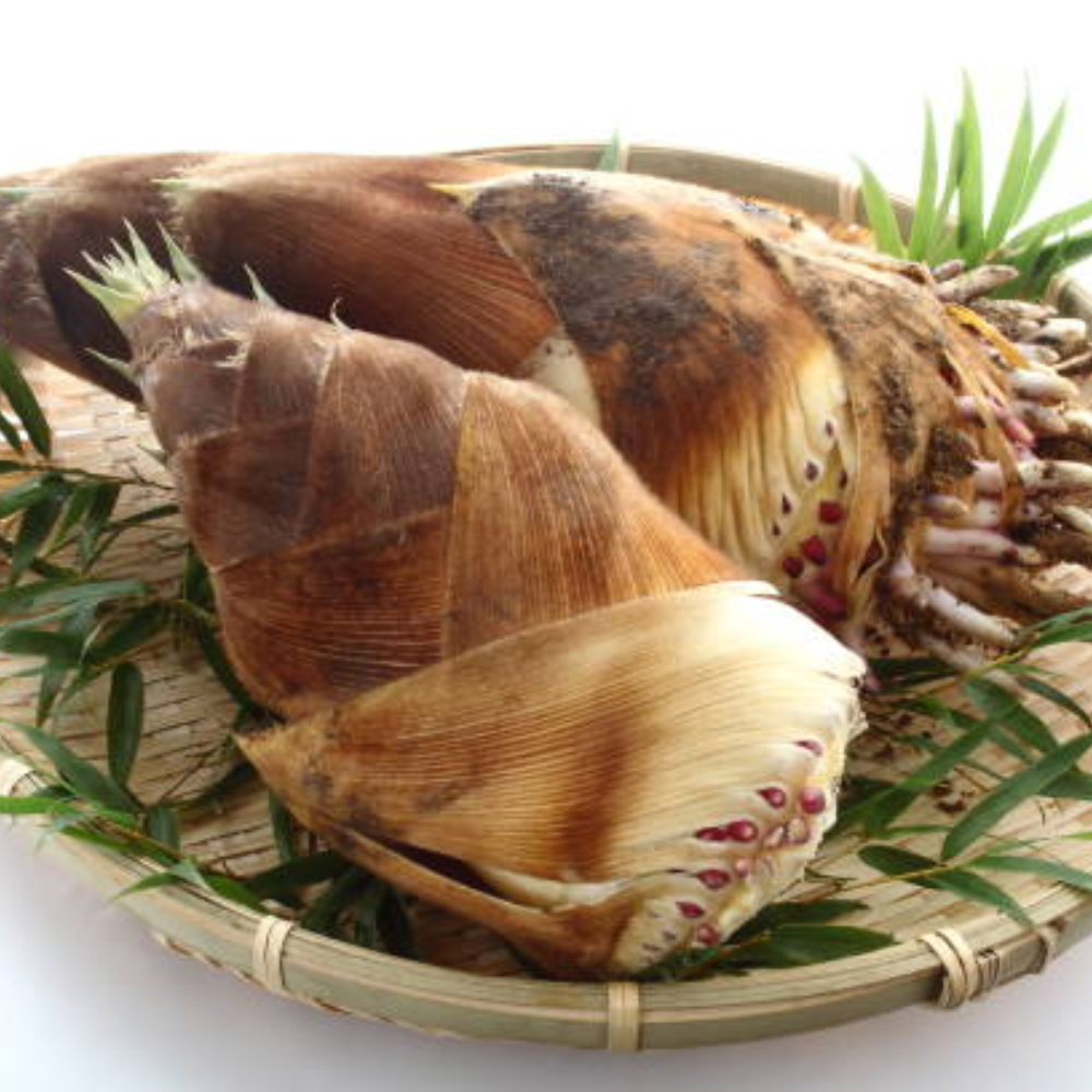 Lợi Ích Sức Khỏe Bất Ngờ Từ Măng Mang Lại