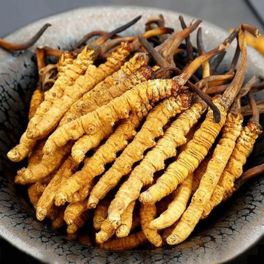 Những Điều Cần Biết Trước Khi Sử Dụng Đông Trùng Hạ Thảo