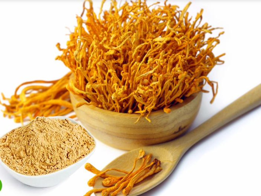 Các hình thái của đông trùng hạ thảo
