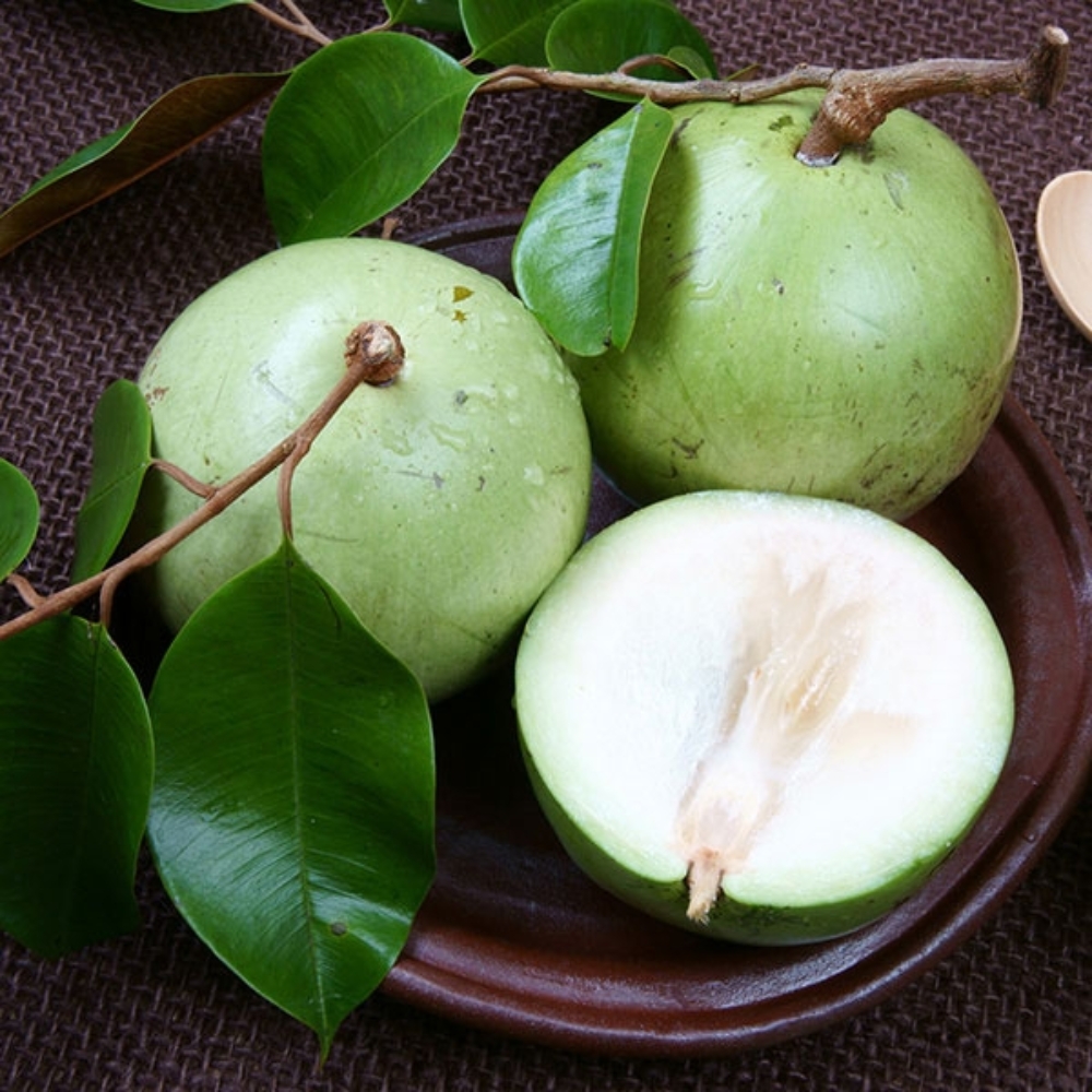 Vú Sữa – Vị Ngọt Tự Nhiên Cho Cơ Thể Khỏe Mạnh