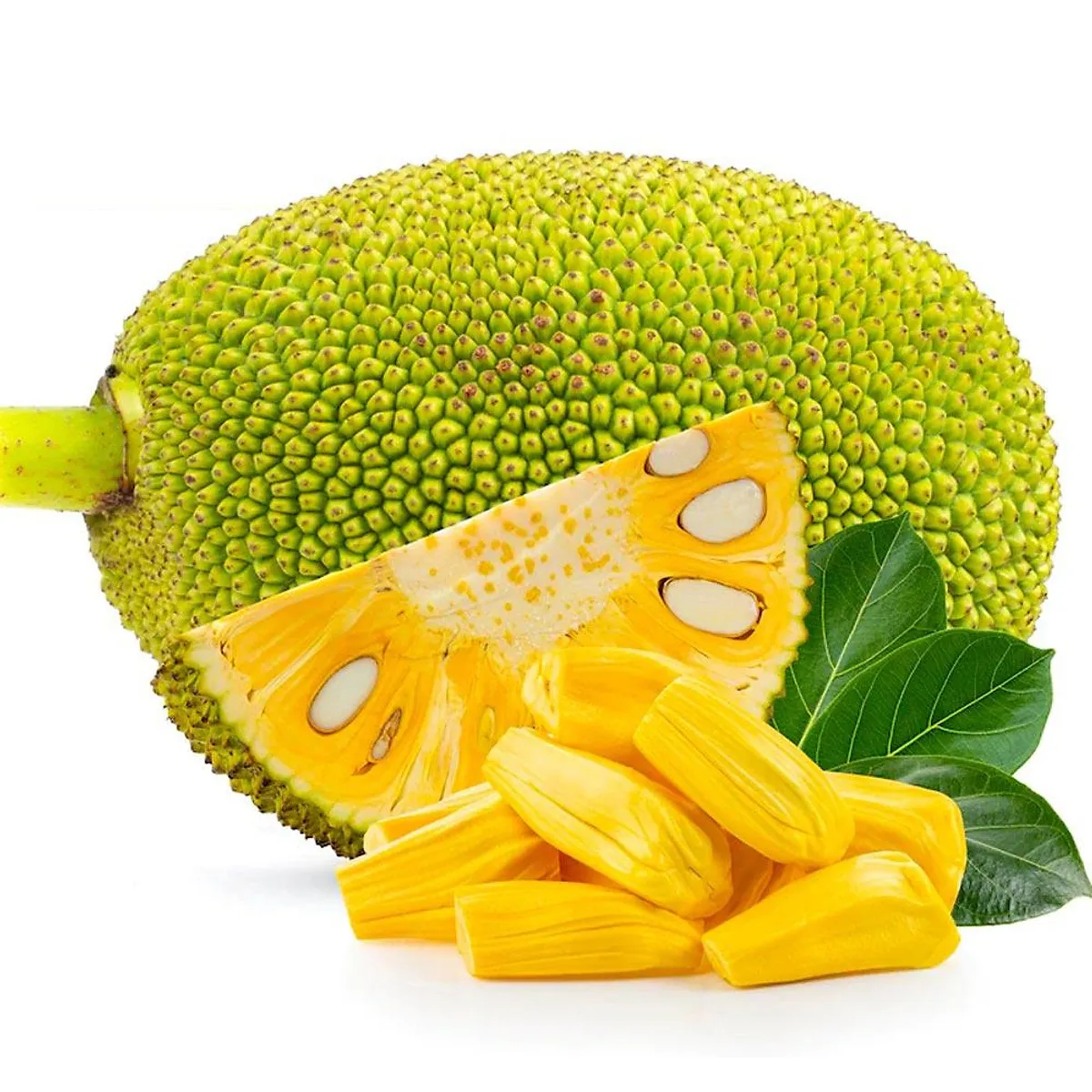 Những Lợi Ích Cho Sức Khoẻ Mà Cây Mít Mang Lại