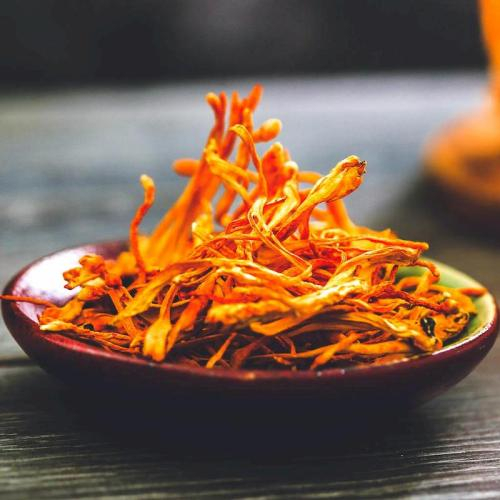 Đông Trùng Hạ Thảo Khô Và Tươi Khác Nhau Như Thế Nào?