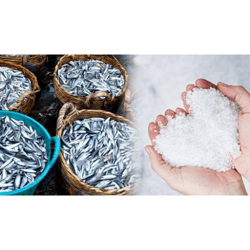 Quy Trình Làm Nước Mắm Truyền Thống