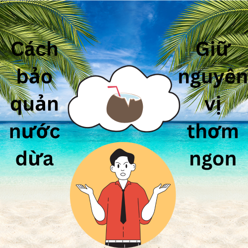 Cách Bảo Quản Nước Dừa Tươi Giữ Nguyên Vị Ngon