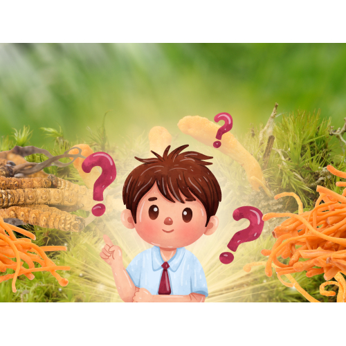 Trẻ Em Có Sử Dụng Đông Trùng Hạ Thảo Được Hay Không?