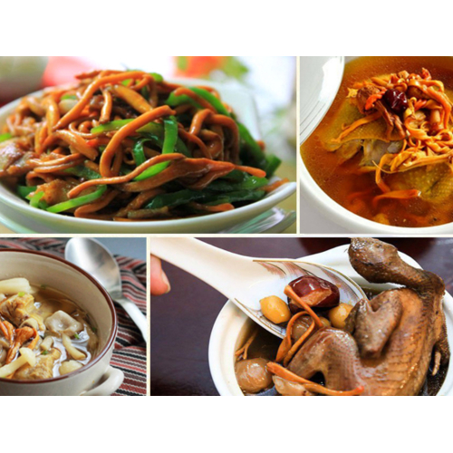 Đông Trùng Hạ Thảo Khô Và Tươi Khác Nhau Như Thế Nào?