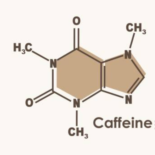 Tìm Hiểu Về Caffein