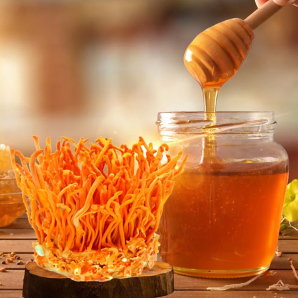 Cách Làm Đông Trùng Hạ Thảo Ngâm Mật Ong Đơn Giản Dễ Làm