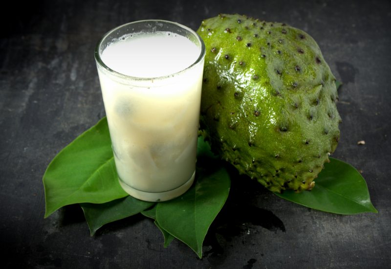 Mãng cầu trong y học hiện đại