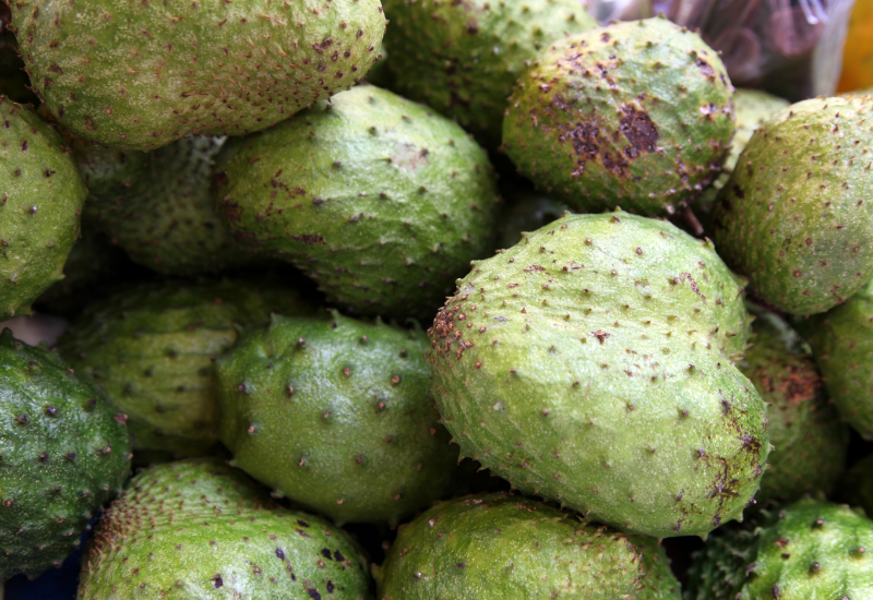 Phụ nữ mang thai và cho con bú